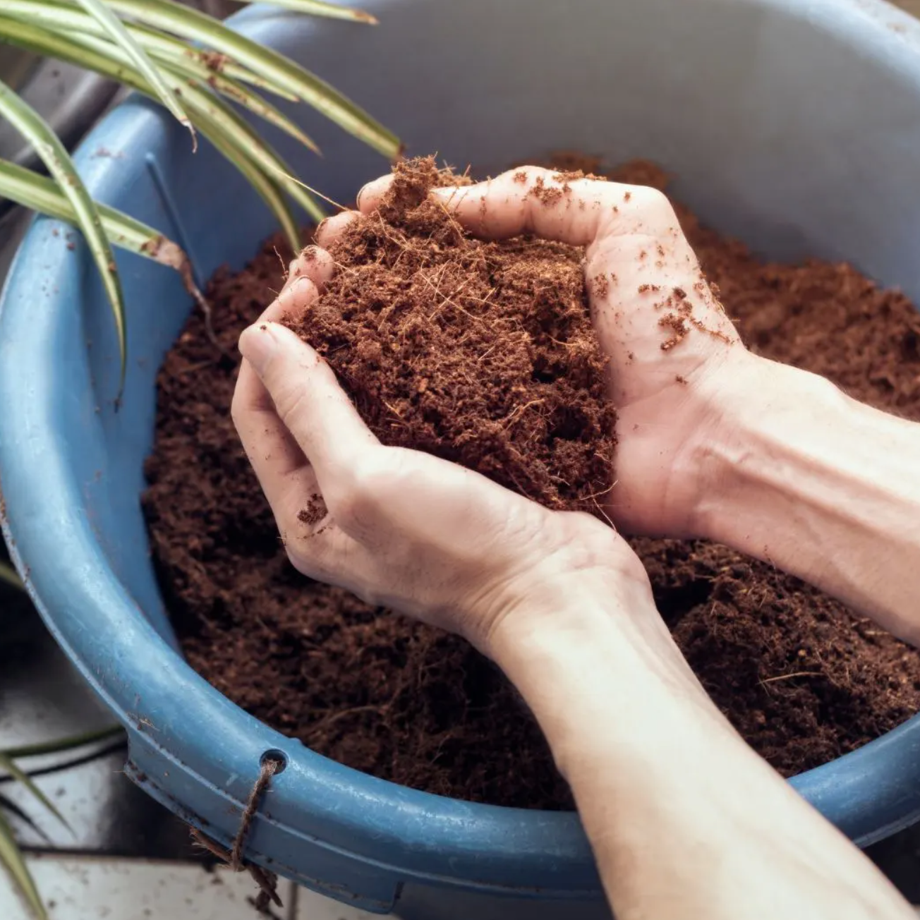 Coco Coir Brick