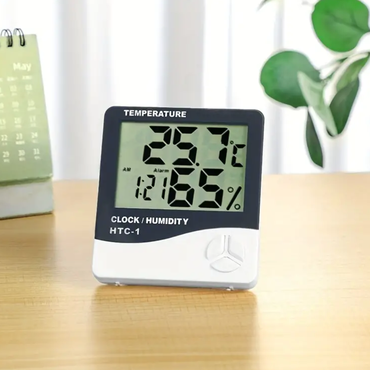 Electronic Thermostat - Indoor