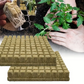Seedlings Rock Wool - 2.5cm x 2.5cm (50 pack)