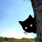 Metal Art - Peeking Cat