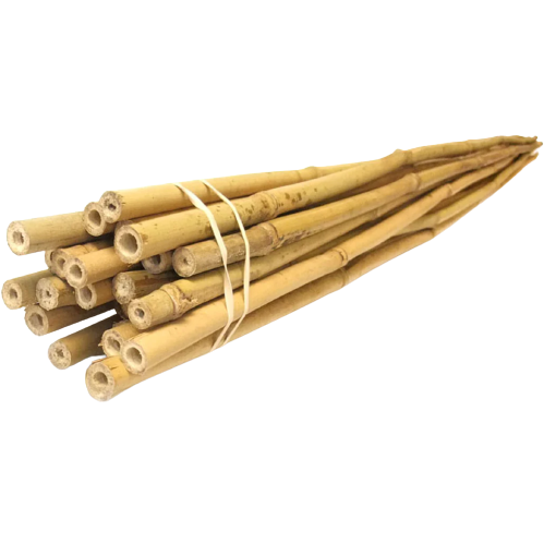 Natural Bamboo Stakes
