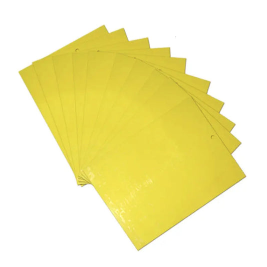 Insect Sticky Traps - Rectangle (20 Pack)
